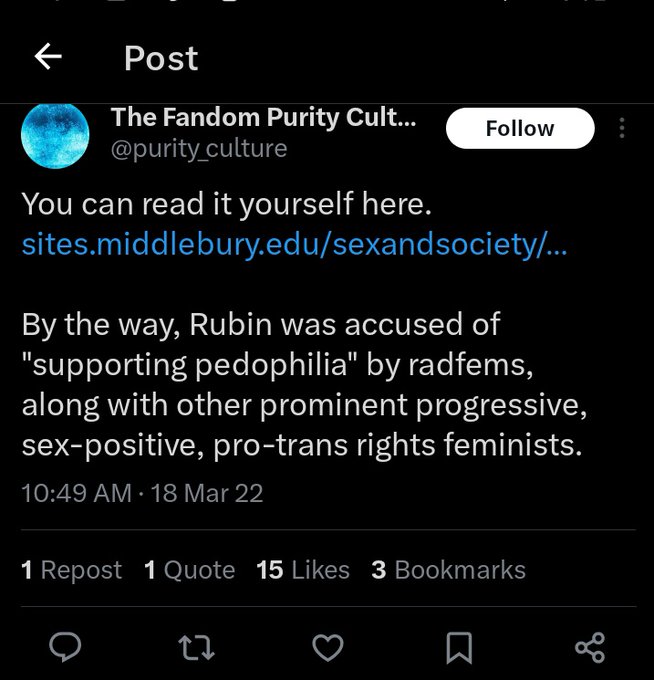 purity_culture 3